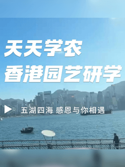 与香港园艺学会联合举办香港园艺研学，专业园境师带队讲解。