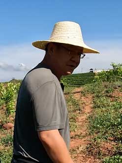 农业人叶涛，50多岁通讯人跨界搞农业，他要用1000万打造一个梦。